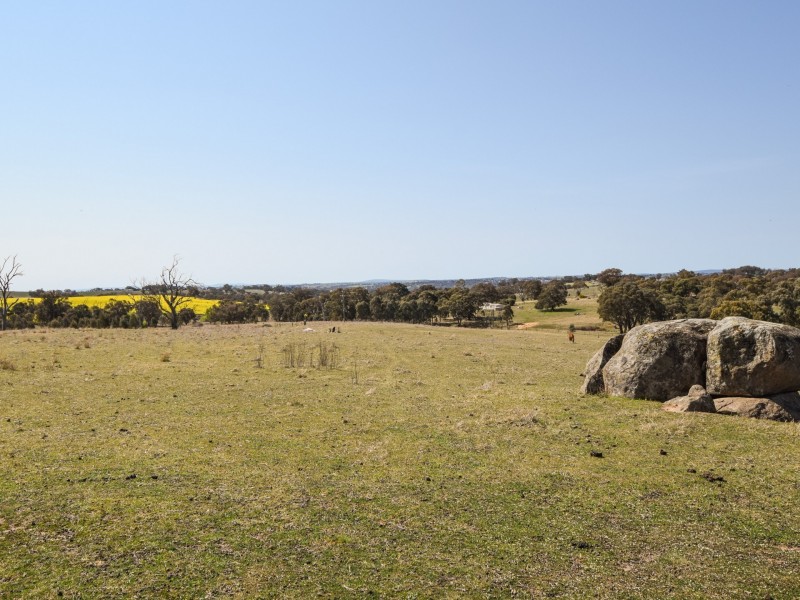 23 Warks Road, Young NSW 2594