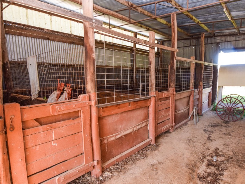 147 Milly Milly Lane, Young NSW 2594