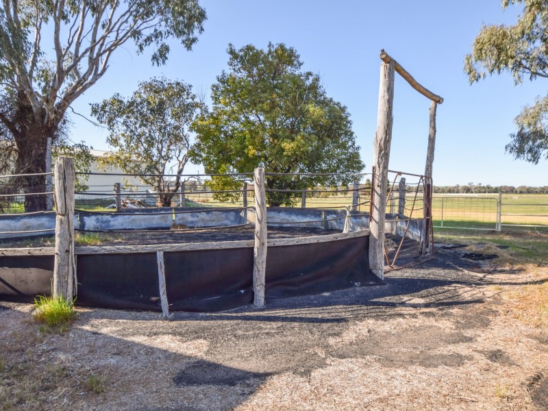 147 Milly Milly Lane, Young NSW 2594