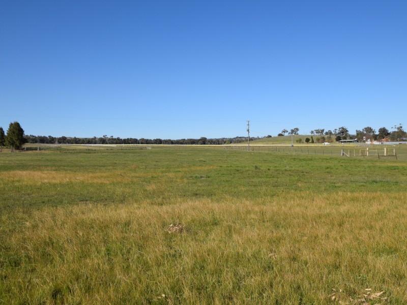 147 Milly Milly Lane, Young NSW 2594