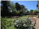 45 Back Creek Road, Young NSW 2594