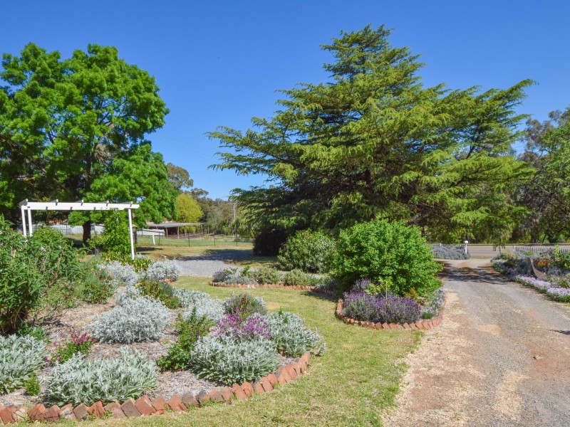 35 Whiteman Avenue, Young NSW 2594