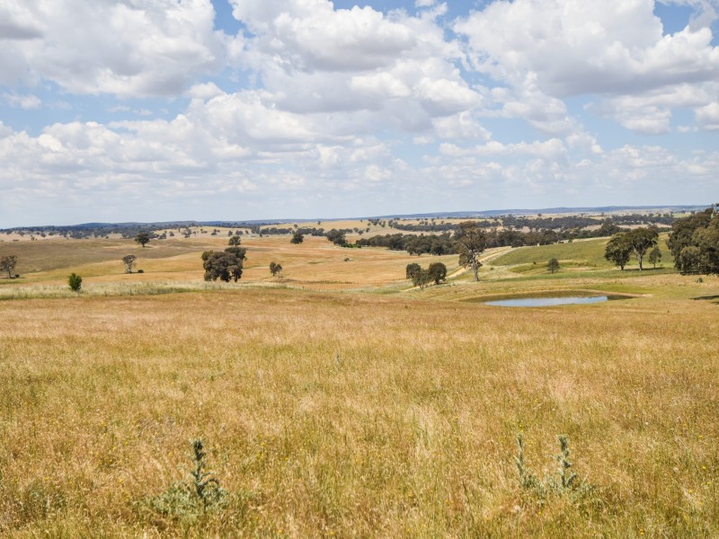 24 Bonnie Doon Rd (Prunevale), Young NSW 2594