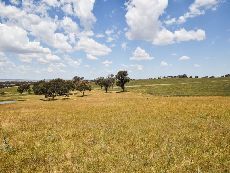 24 Bonnie Doon Rd (Prunevale), Young NSW 2594