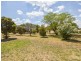 24 Bonnie Doon Rd (Prunevale), Young NSW 2594