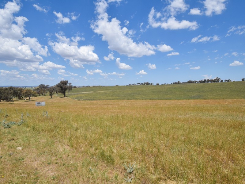 24 Bonnie Doon Rd (Prunevale), Young NSW 2594