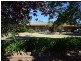 14 Jasprizza Ave, Young NSW 2594
