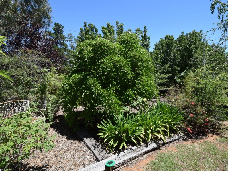 47 Tierneys Road, Young NSW 2594