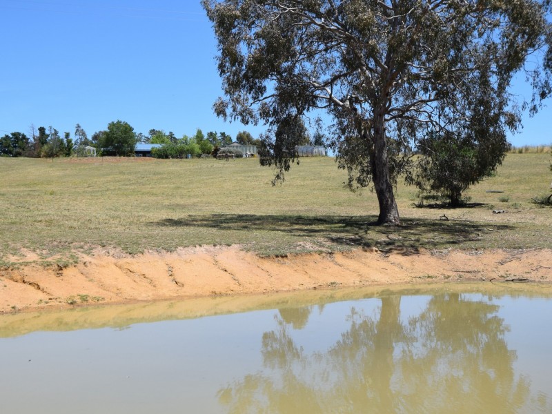 47 Tierneys Road, Young NSW 2594