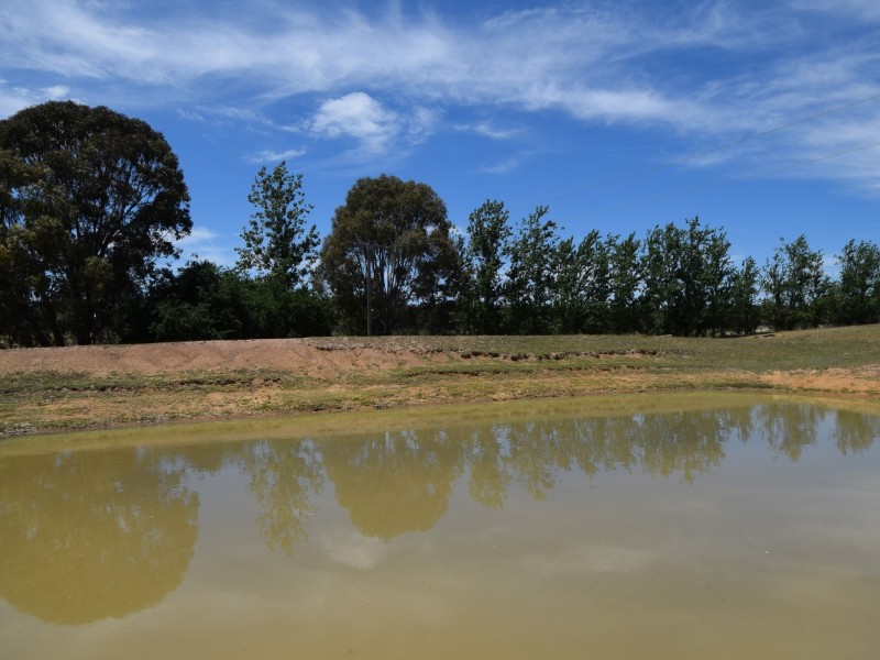 47 Tierneys Road, Young NSW 2594