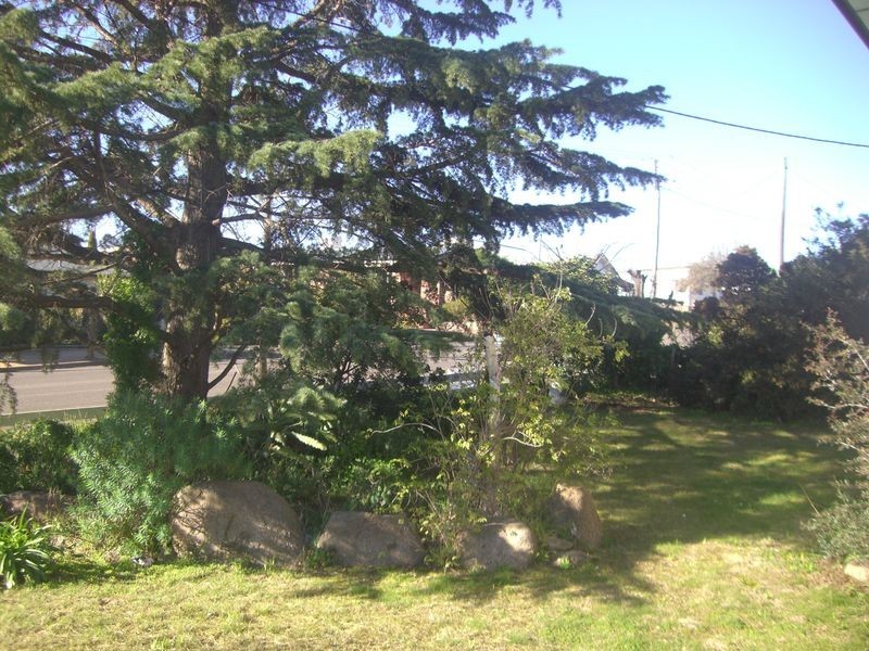 16 William Street, Young NSW 2594