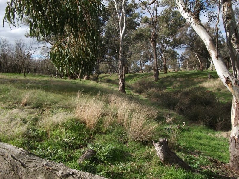 00 Quamby Lane, Young NSW 2594