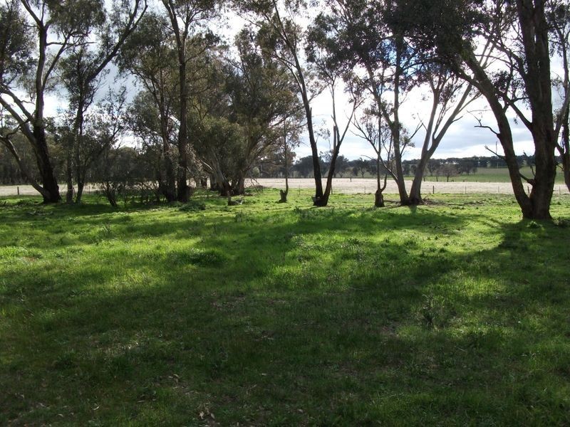 00 Quamby Lane, Young NSW 2594