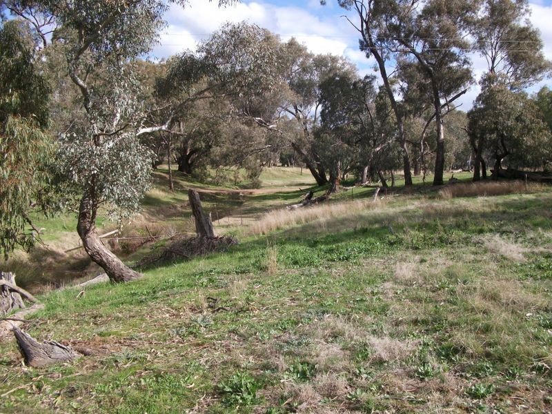 00 Quamby Lane, Young NSW 2594