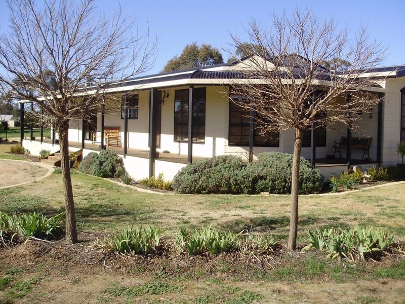 99 Spring Creek Road, Young NSW 2594