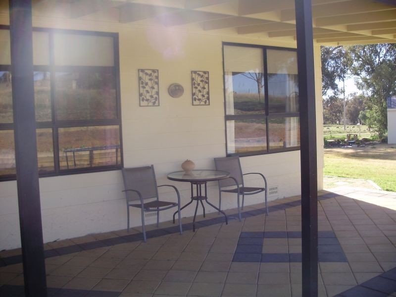 99 Spring Creek Road, Young NSW 2594