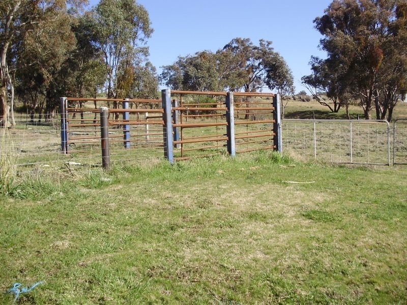 99 Spring Creek Road, Young NSW 2594