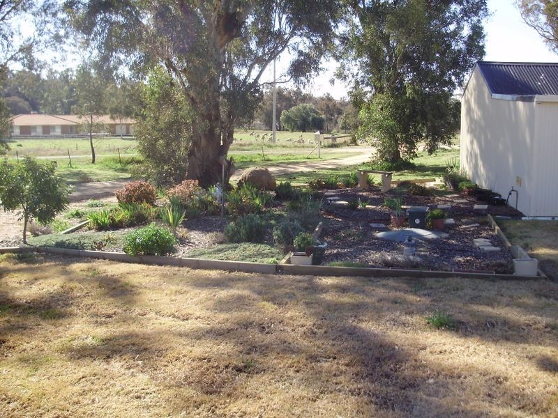 99 Spring Creek Road, Young NSW 2594