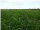 00 Wurinya Rd, Forbes NSW 2871
