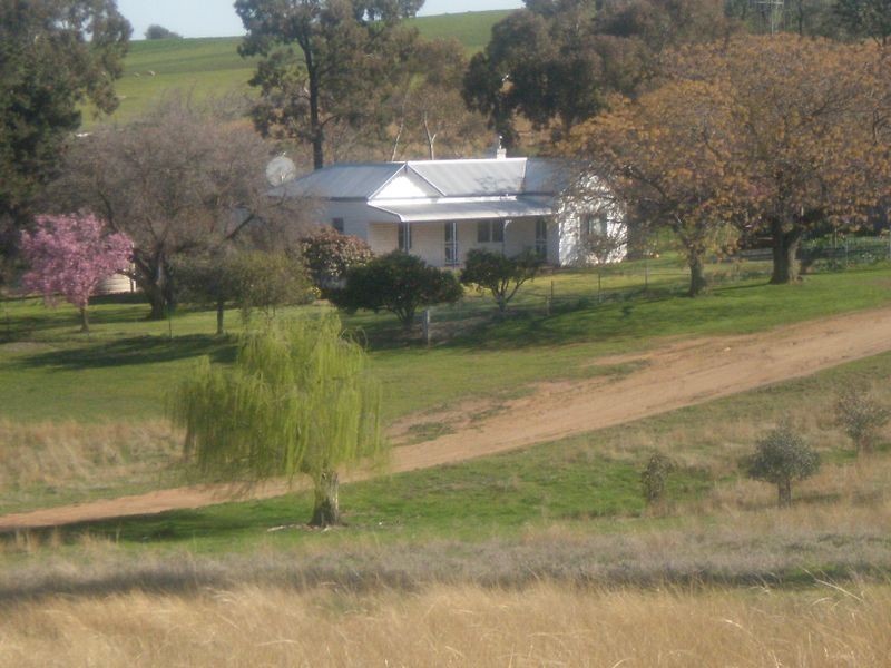 00 Bernies Rd, Young NSW 2594