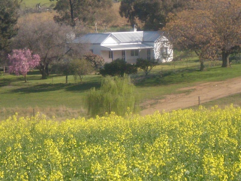 00 Bernies Rd, Young NSW 2594