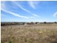 289 Wickham Lane, Young NSW 2594