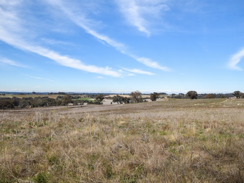 289 Wickham Lane, Young NSW 2594
