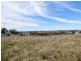 289 Wickham Lane, Young NSW 2594