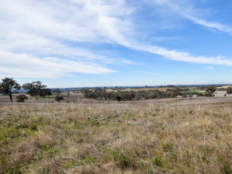 289 Wickham Lane, Young NSW 2594