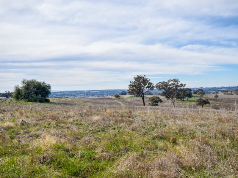 289 Wickham Lane, Young NSW 2594