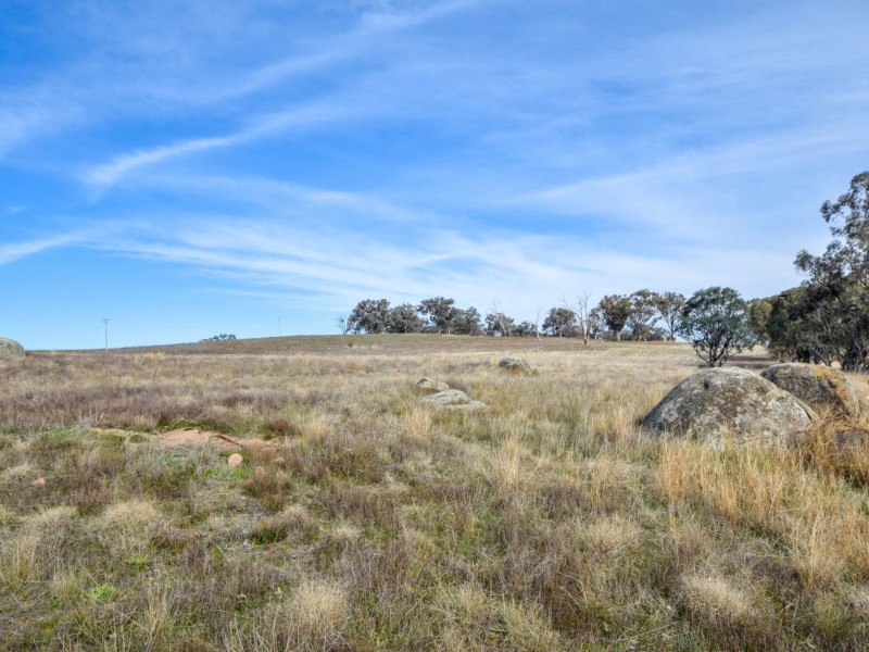 289 Wickham Lane, Young NSW 2594
