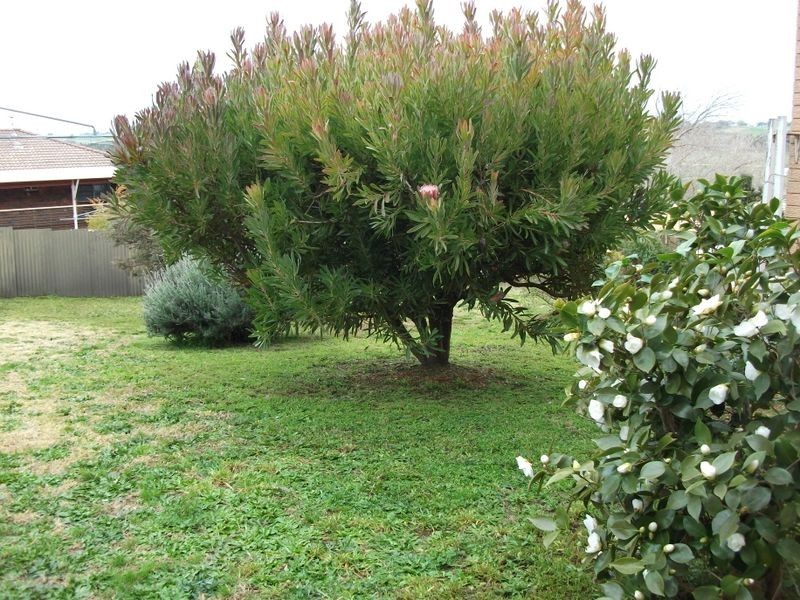 28 Toompang Street, Young NSW 2594