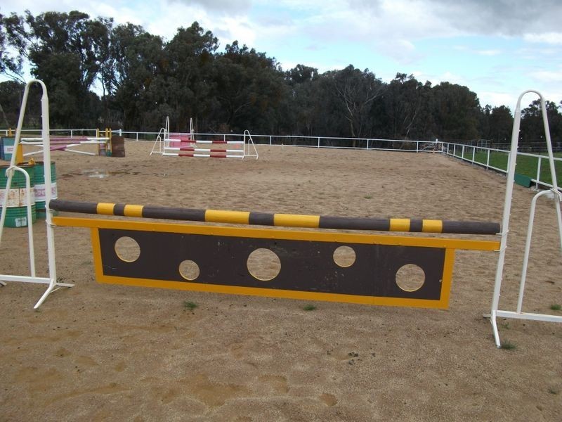 42 Batinichs Road, Young NSW 2594