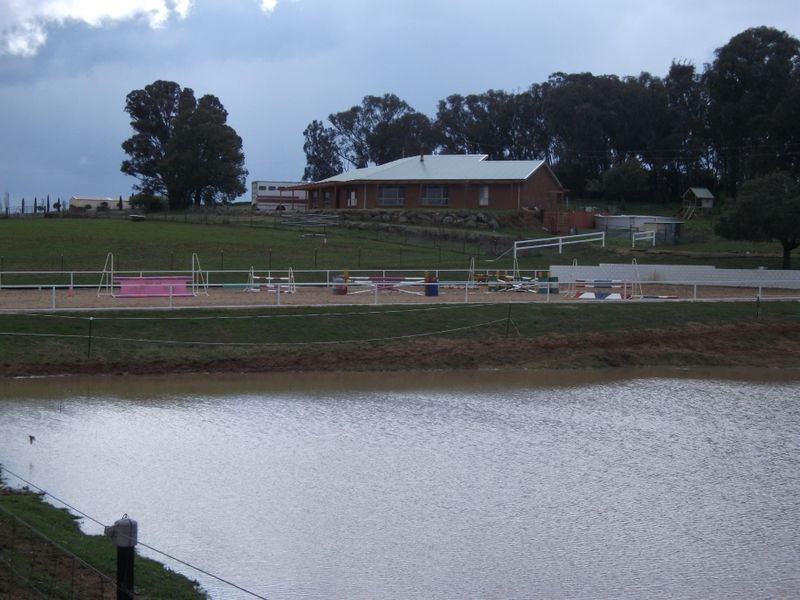 42 Batinichs Road, Young NSW 2594