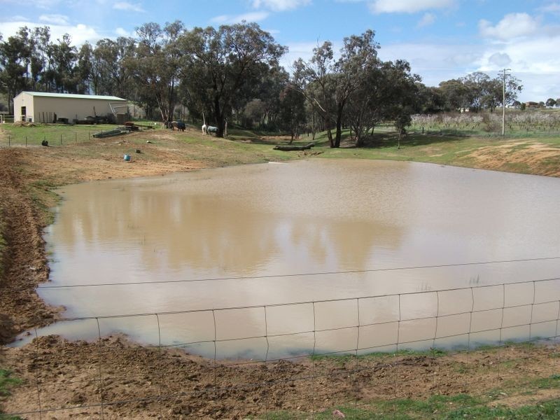 42 Batinichs Road, Young NSW 2594