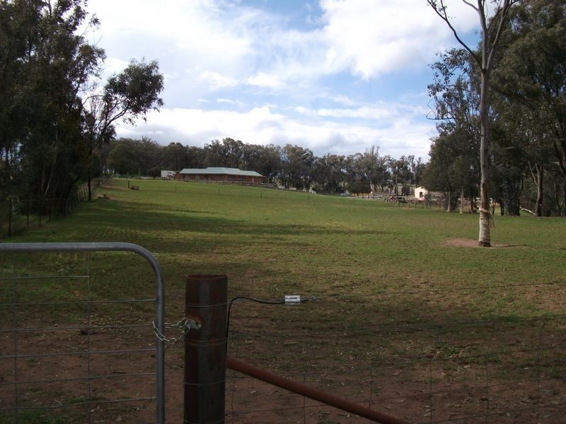 42 Batinichs Road, Young NSW 2594