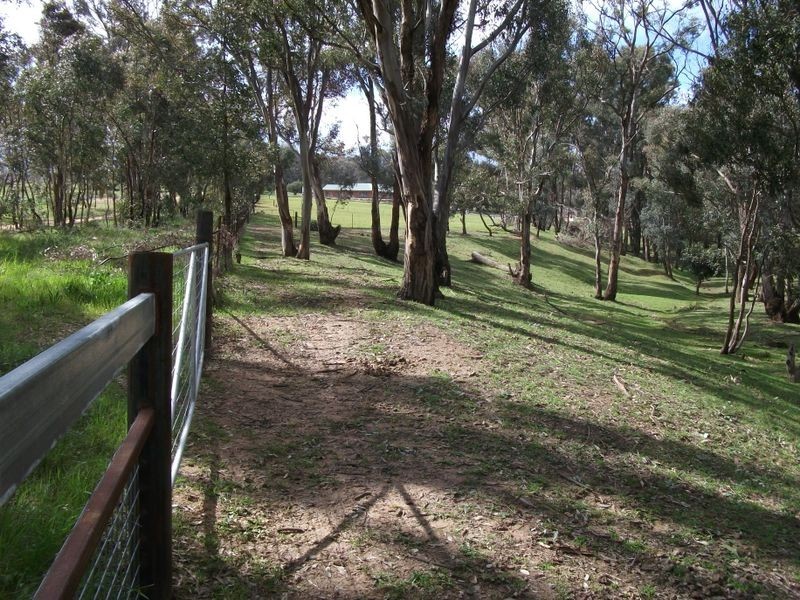 42 Batinichs Road, Young NSW 2594