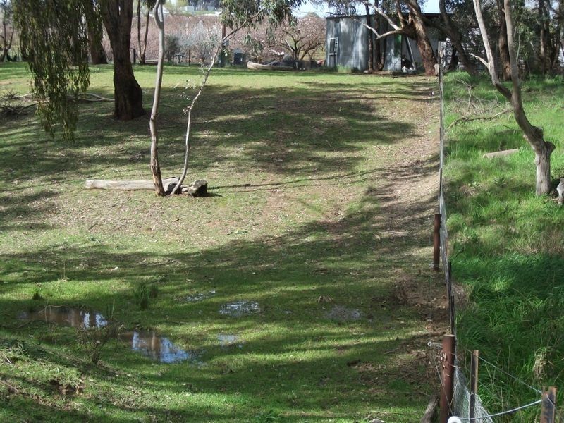 42 Batinichs Road, Young NSW 2594