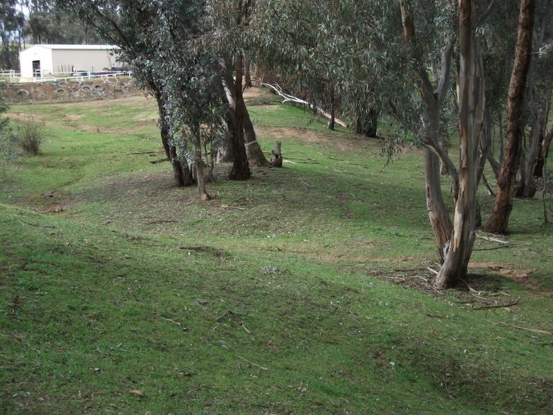 42 Batinichs Road, Young NSW 2594