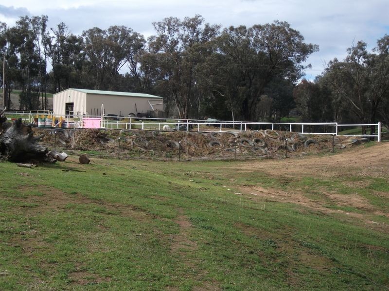 42 Batinichs Road, Young NSW 2594