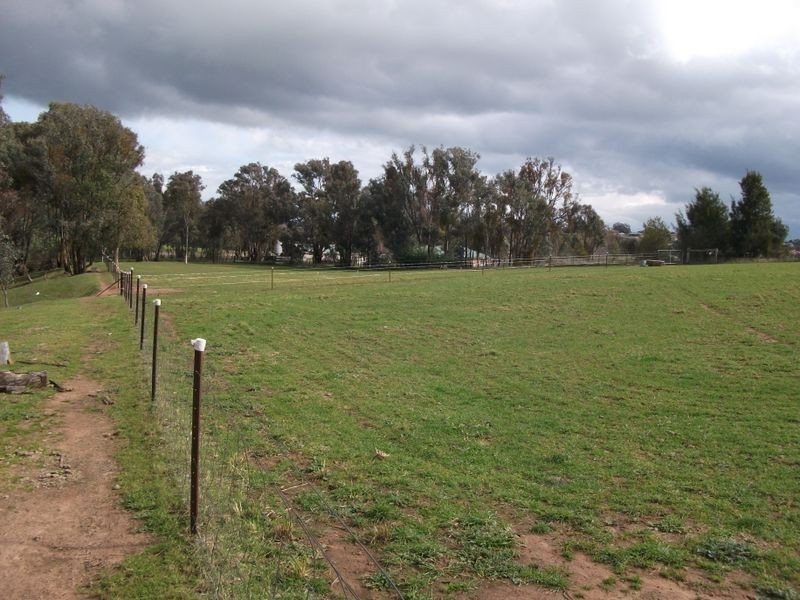 42 Batinichs Road, Young NSW 2594