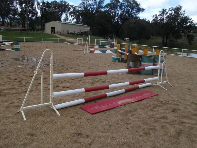 42 Batinichs Road, Young NSW 2594