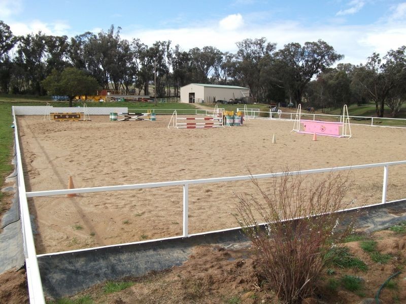 42 Batinichs Road, Young NSW 2594