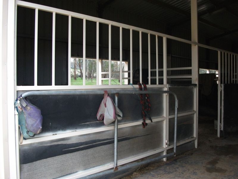 42 Batinichs Road, Young NSW 2594