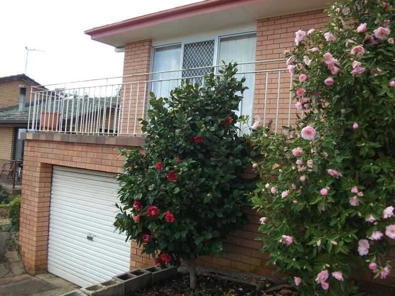 3 Cherry Court, Young NSW 2594