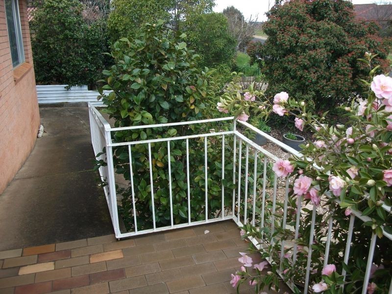 3 Cherry Court, Young NSW 2594