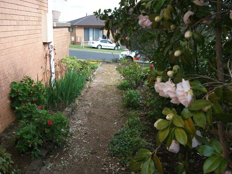 3 Cherry Court, Young NSW 2594