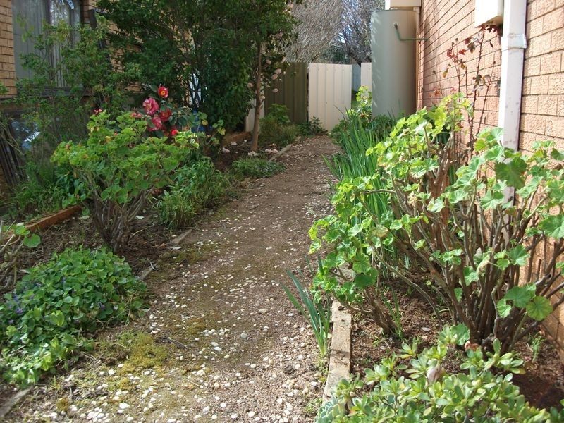 3 Cherry Court, Young NSW 2594