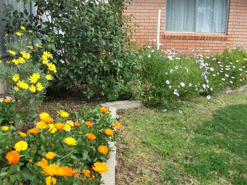 3 Cherry Court, Young NSW 2594