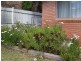 3 Cherry Court, Young NSW 2594